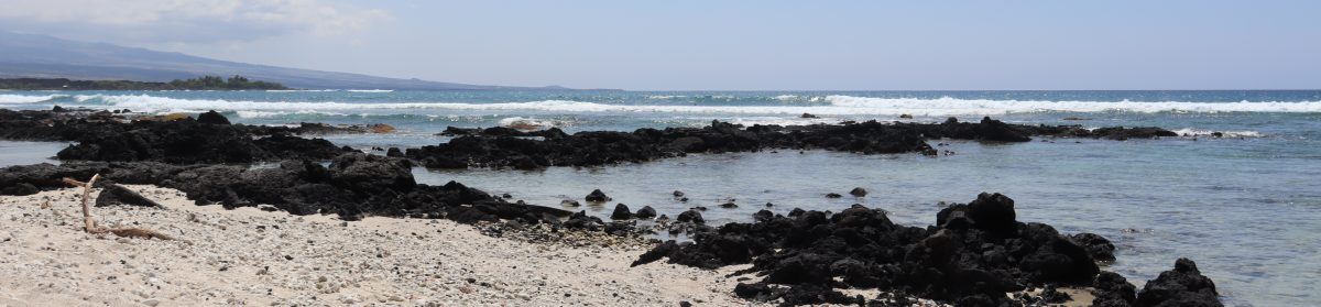 Sand and Sparrow Marketing LLC